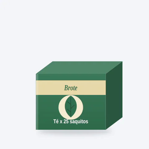 Té negro en saquitos Brote Caja × 25