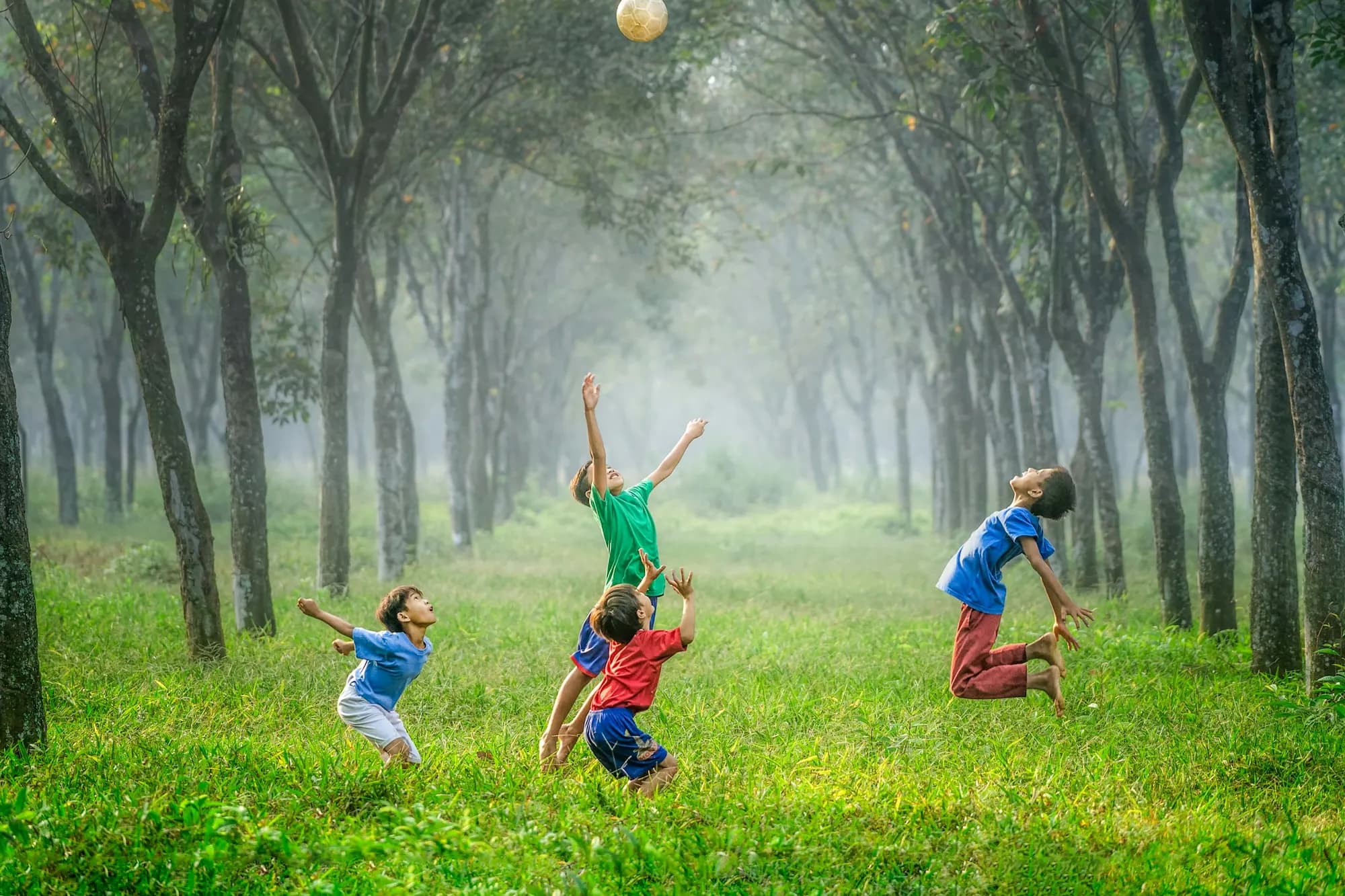 chicos saltando en un bosque verde