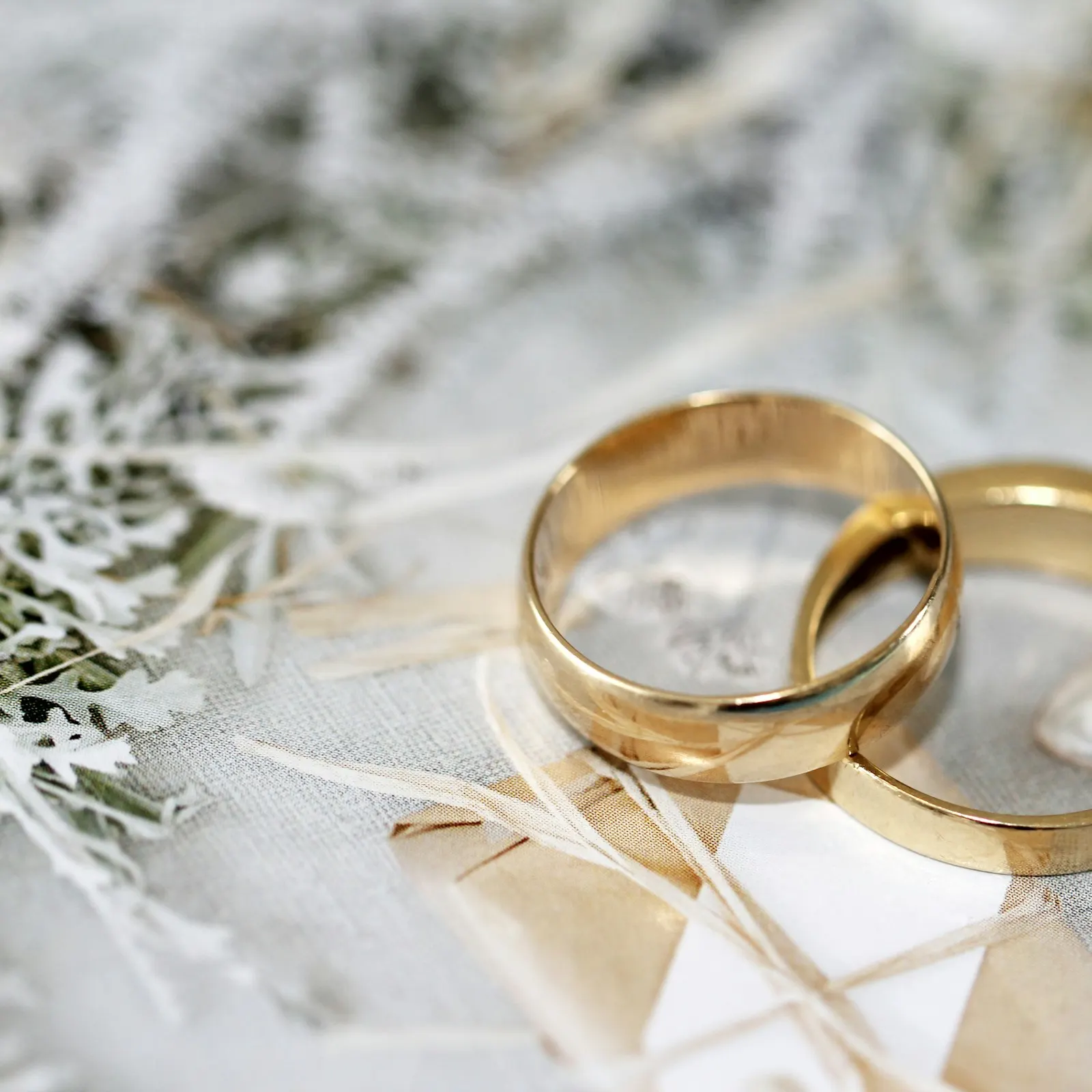anillos de oro sobre tela