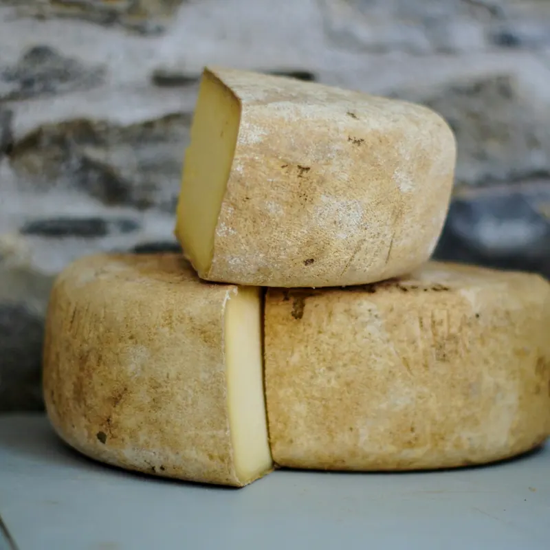 Dos hormas de queso semiduro estacionado, una con una cuña cortada, sobre una piedra