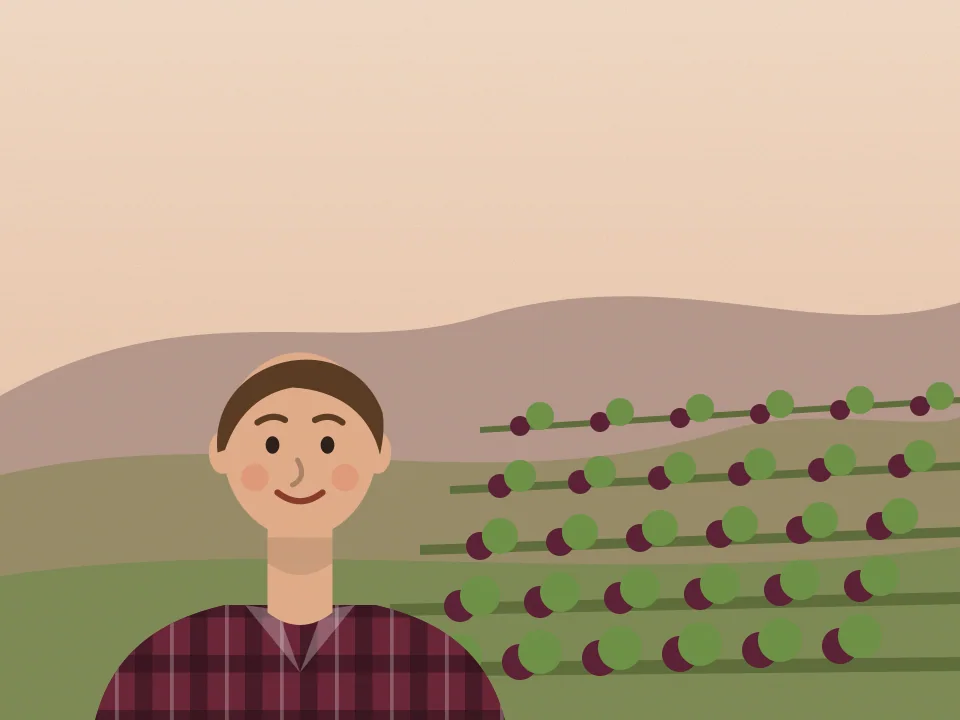 Ilustración de Esteban con camisa a cuadros, con hileras de vid en la finca